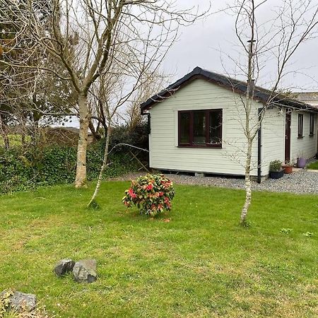 Idyllic Cornish Retreat At Puffin Lodge 헬스턴 외부 사진
