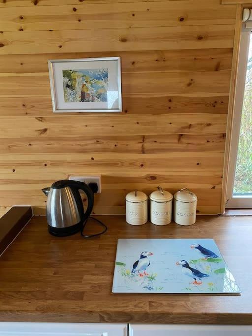 Idyllic Cornish Retreat At Puffin Lodge 헬스턴 외부 사진